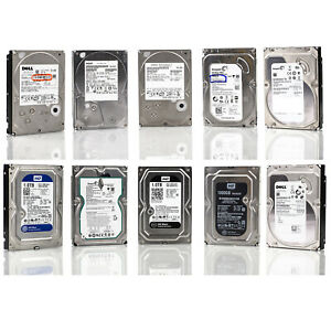 1tb Desktop Hard Drive 1 year Warranty